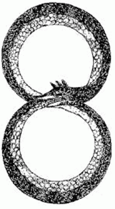 The Ouroboros connects the Above and Below2